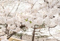 [경기티비종합뉴스] 수원문화재단 오영균 대표이사, 다채로운 문화관광 해설 프로그램 운영