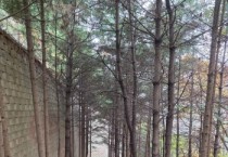 [경기티비종합뉴스] 용인특례시, 시민건강 증진 위한 ‘2025년 건강 걷기 프로그램’ 종료