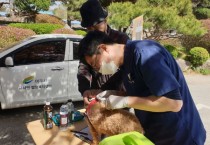 [경기티비종합뉴스] 여주시, ′25년 춘계 광견병 백신 무료접종 실시