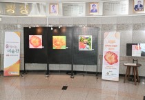 [경기티비종합뉴스] 화성특례시의회-ESG메세나 공동주최, ‘움직이는 미술관’ 8월 전시