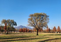 [경기티비종합뉴스] 경기도, 2026년 제14회 경기정원문화박람회 개최지로 ‘양평군’ 선정