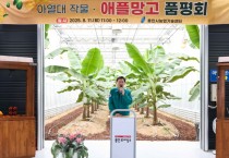 [경기티비종합뉴스] 용인특례시, 아열대작물 애플망고 품평회 개최