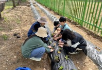 [경기티비종합뉴스] 용인특례시, 지역 교육기관 34곳에 생태 텃밭 교육