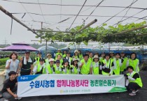 [경기티비종합뉴스] NH농협은행 수원관내 여성책임자회, NH농협 수원시지부, 수원농협 농번기 함께나눔 농촌 일손돕기 실시