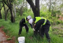 [경기티비종합뉴스] 여주시, 가로수 미국흰불나방 “STOP!!”