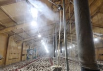 [경기티비종합뉴스] 여주시, 무더위에 약한 가축 면역력 높인다