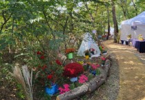 [경기티비종합뉴스] 전 세대가 함께 걷는 배움숲길, 평생학습 축제에서 즐기자