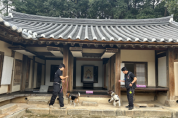 [경기티비종합뉴스] 여주세종문화관광재단, 흰개미탐지견 활용 목조문화재 점검·환경정화 활동 실시