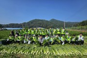 [경기티비종합뉴스] 경기농협, 안성 양성농협 농가 찾아 일손돕기 ‘구슬땀’
