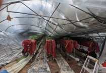 [경기티비종합뉴스] 안성시, 폭설로 인한 피해 심각‥‘특별재난지역 지정 절실’