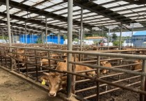 [경기티비종합뉴스] 용인특례시, ‘2025 저탄소 농업 프로그램 시범사업’ 참여 축산농가 모집