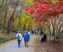 [경기티비종합뉴스]"특집" 양평군, 가볼만한곳 올 가을 어디갈까? 양평 단풍 명소 3선