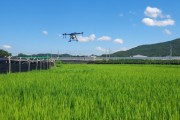 [경기티비종합뉴스] 화성특례시, 올해 첫 벼 병해충 드론 공동방제 시작