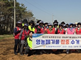 [경기티비종합뉴스] 평택농협시지부 홍진의 지부장, 농촌 일손돕기 및 영농폐기물 수거 봉사활동 구슬땀