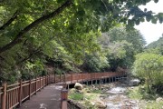 [경기티비종합뉴스] 경기도, 여름휴가철 가볼 만한 자연공원 7곳 추천