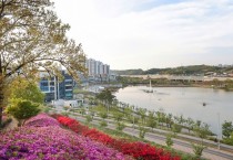[경기티비종합뉴스] 시흥시, 분홍빛 철쭉 바다 ‘소문난 꽃의 낙원 은계호수공원 오난산