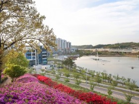 [경기티비종합뉴스] 시흥시, 분홍빛 철쭉 바다 ‘소문난 꽃의 낙원 은계호수공원 오난산