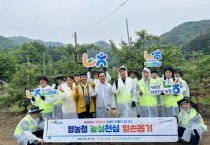 [경기티비종합뉴스] 경기농협 엄범식 총괄본부장, 농심천심 가치 실천 농촌일손돕기 실시
